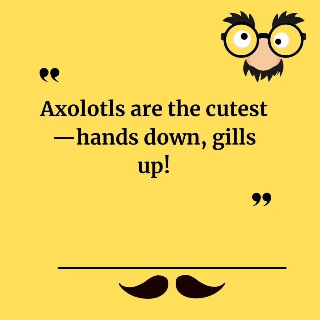 Cute Axolotl Puns for Adorable Captions