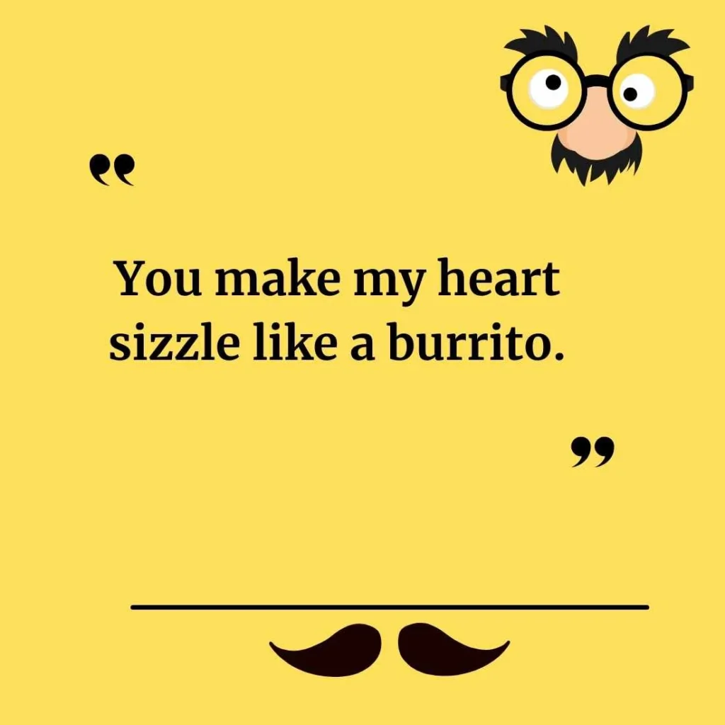 Cute Burrito Puns for Friends