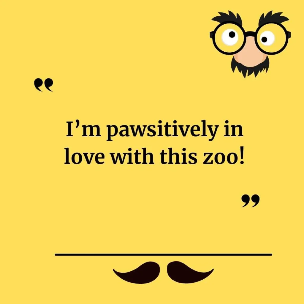 Cute Zoo Puns for Social Media