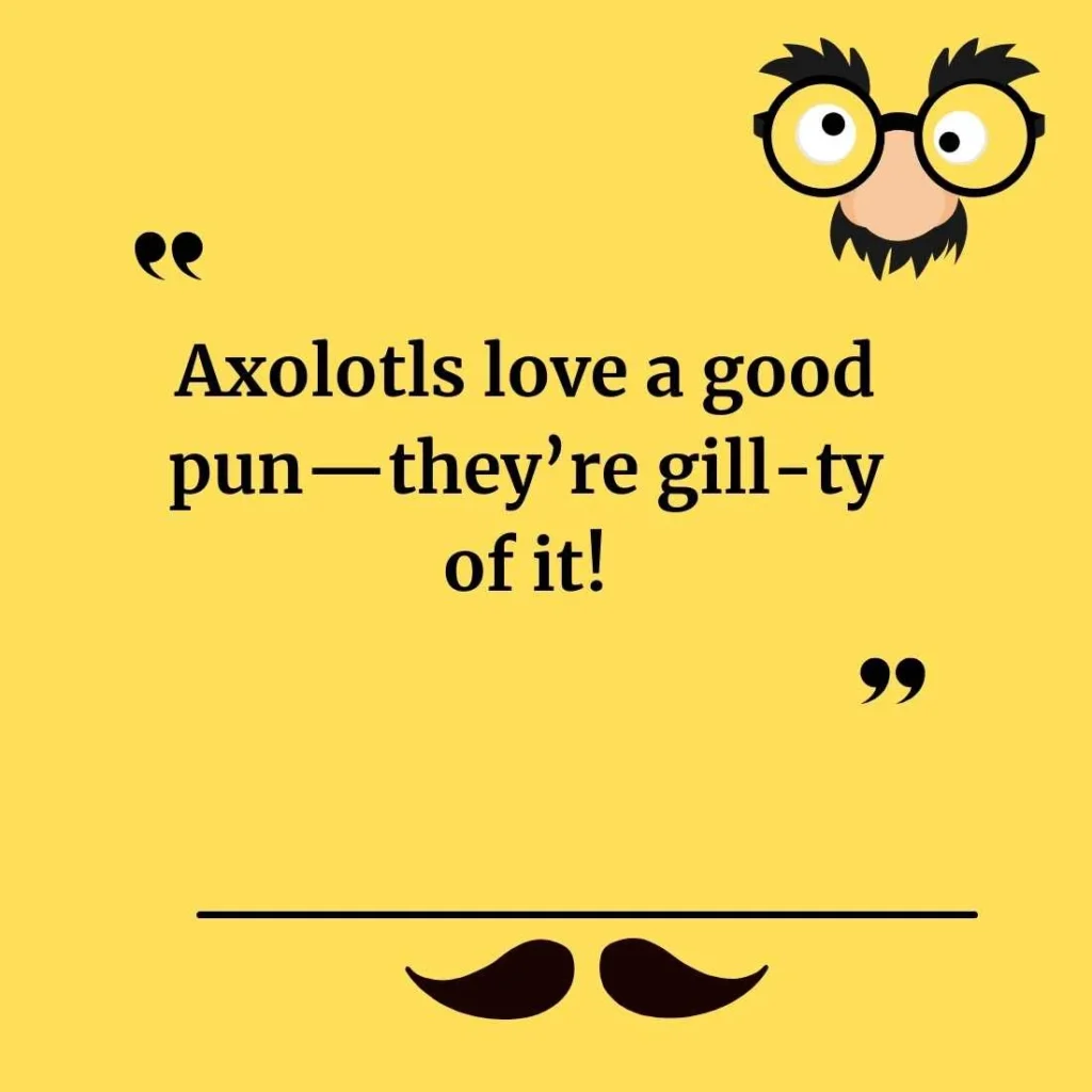 Funny Axolotl Puns for a Good Laugh