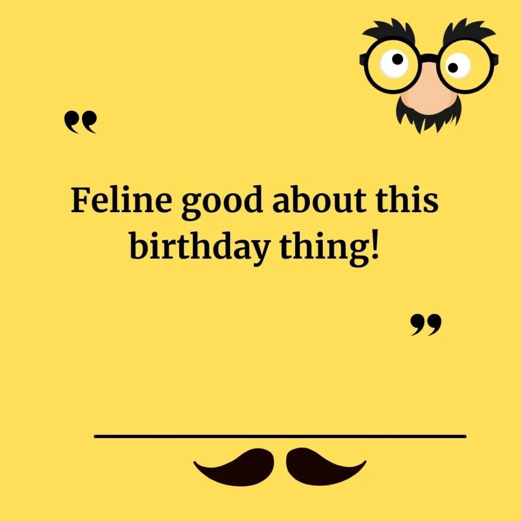 Funny Cat Birthday Puns for Cards