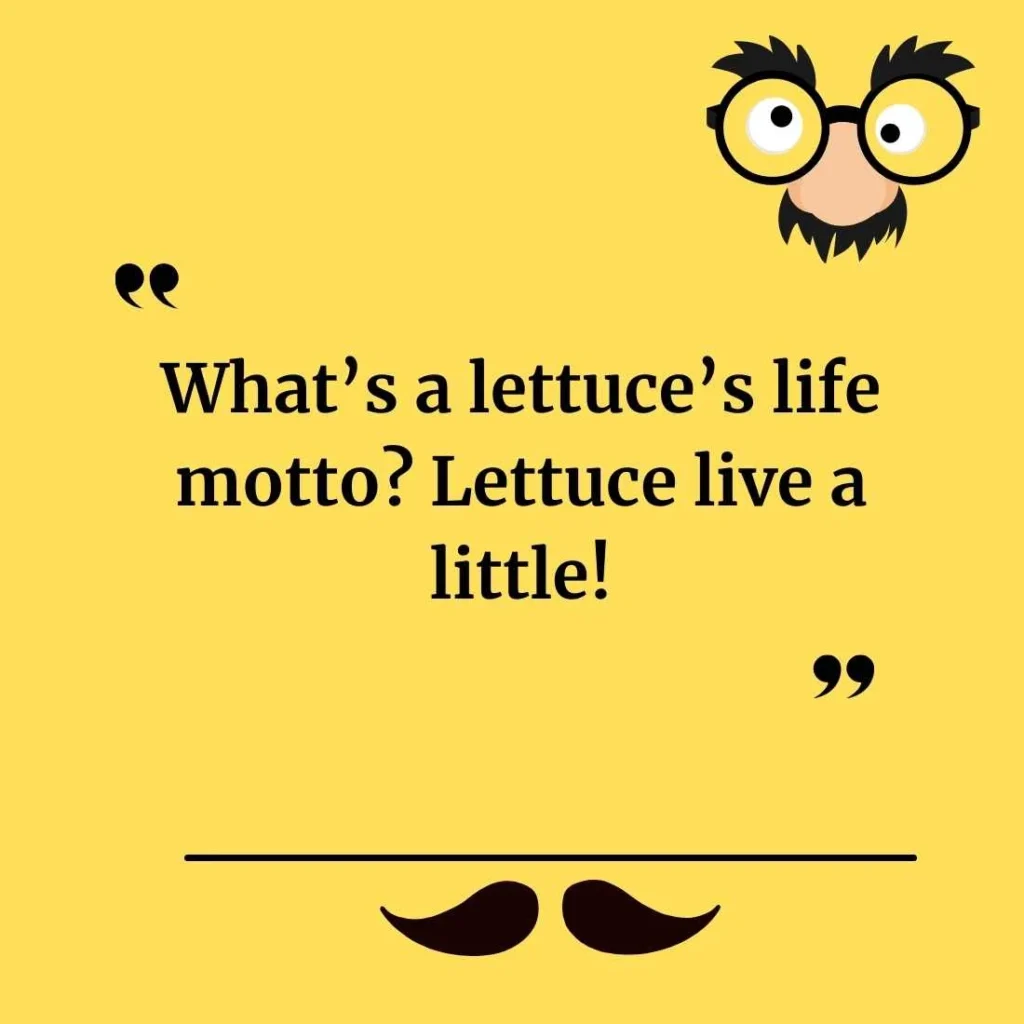 Funny Lettuce Puns for Beginners