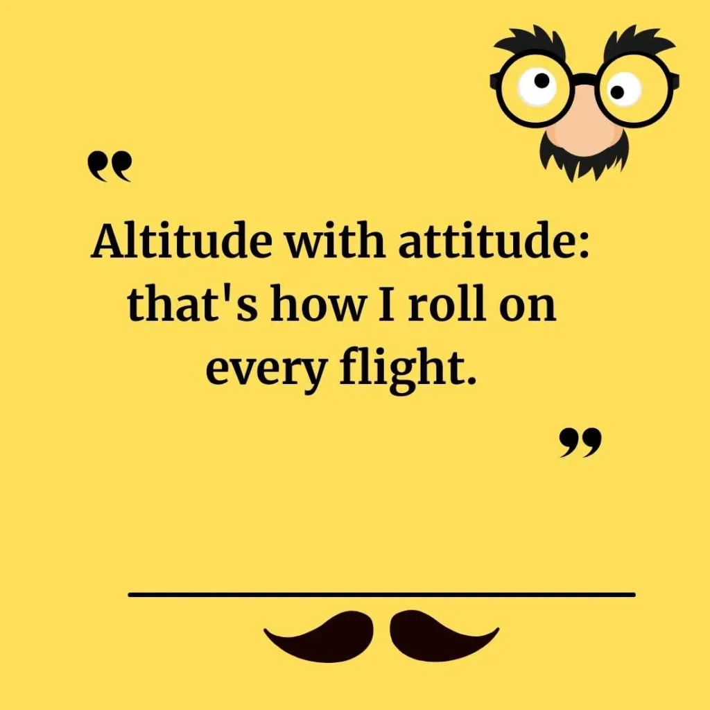 Funny Plane Puns