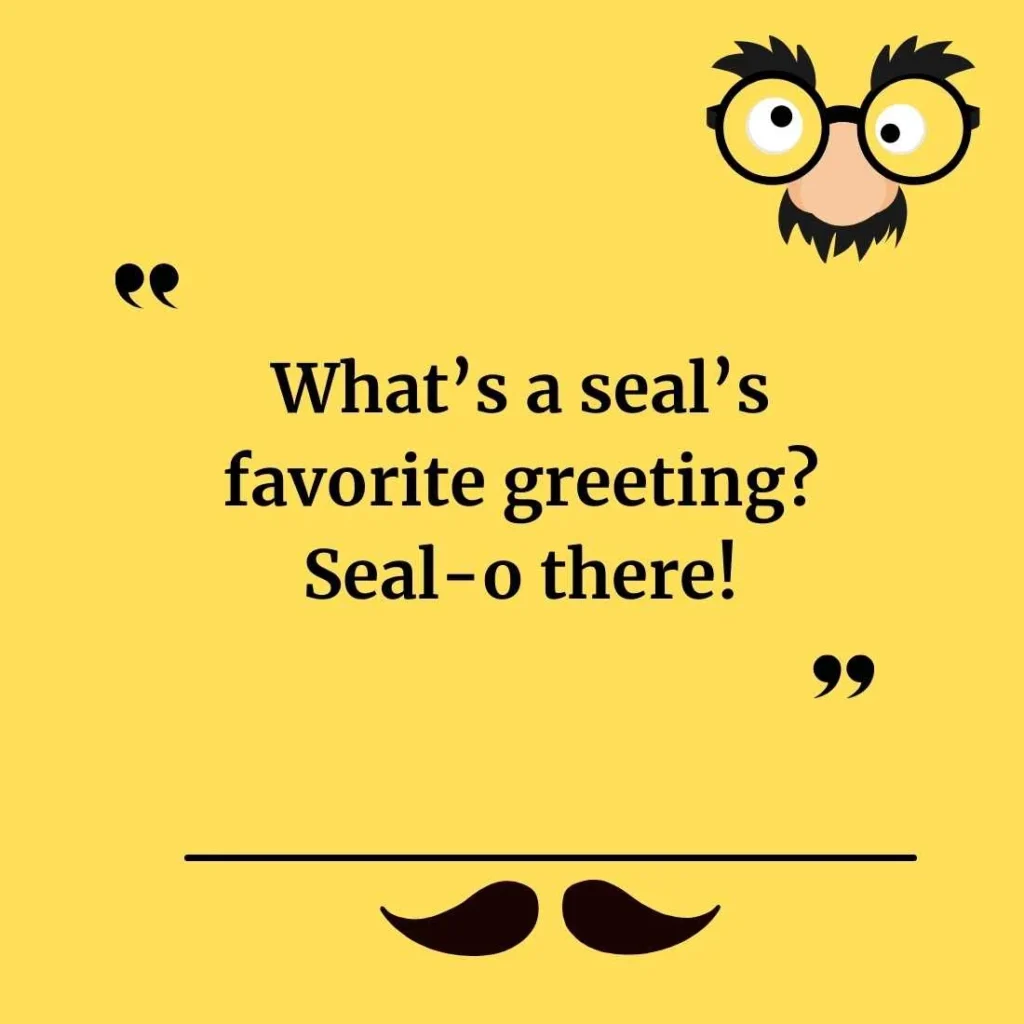 Funny Seal Puns for Beginners