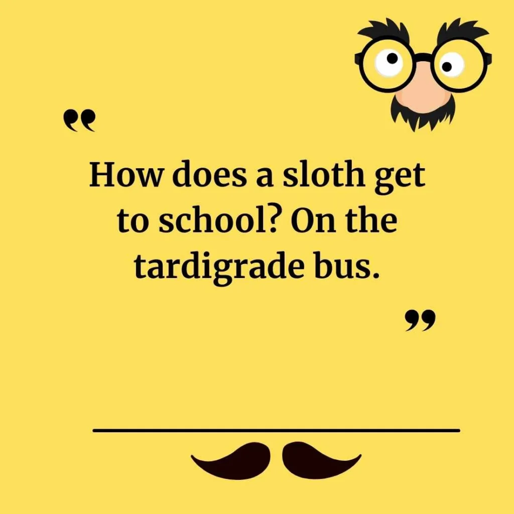 Funny Sloth Jokes for Kids