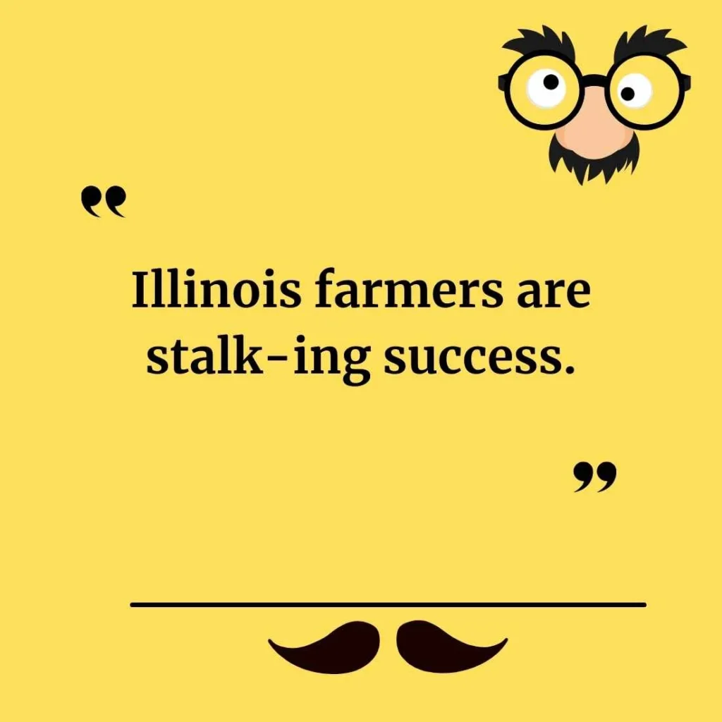 Hilarious Corn Puns from Illinois