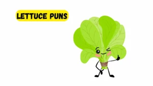 Read more about the article 247 Funny Lettuce Puns 2025