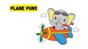Read more about the article 589 Clever Plane Puns 2025