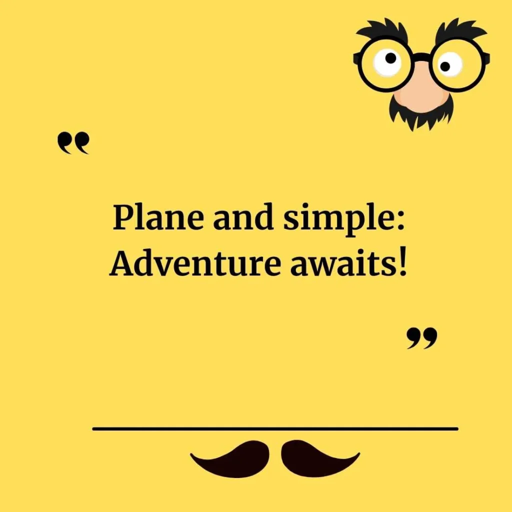 Plane Puns for Captions