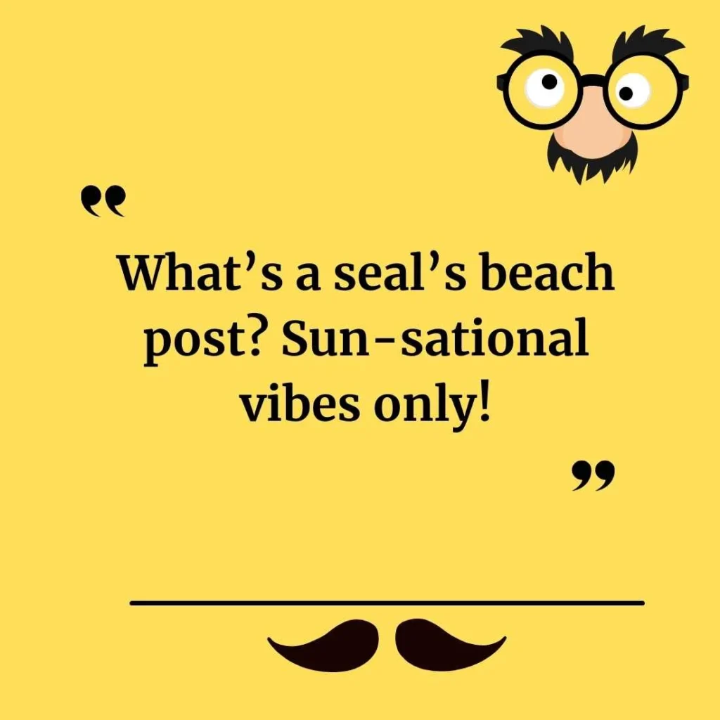 Seal Puns for Instagram Captions