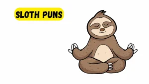 Read more about the article 921 Hilarious Sloth Puns 2025