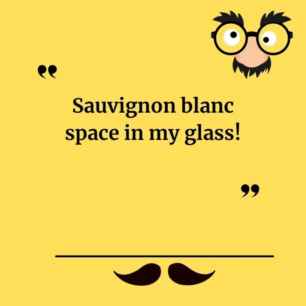 Wine Puns for Instagram