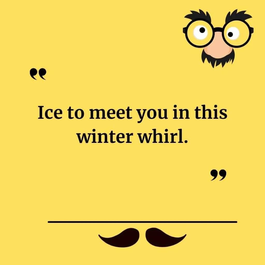 Winter Puns