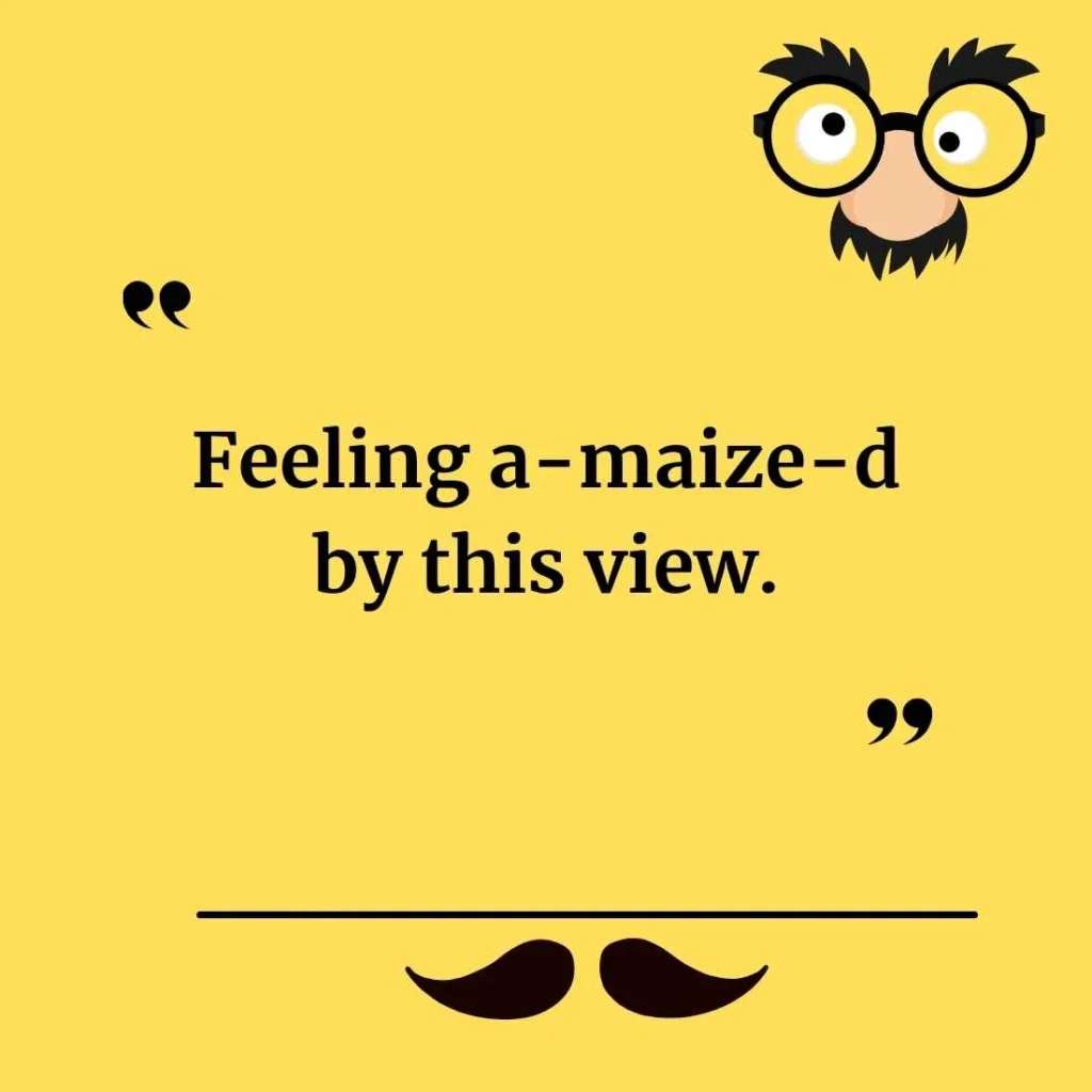 Corny Puns for Instagram Captions