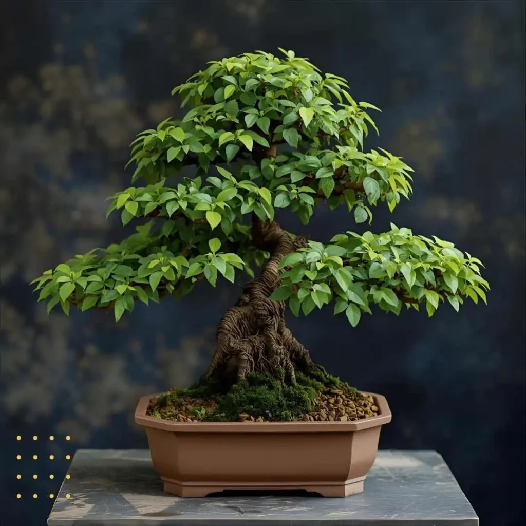 Funny Bonsai Puns